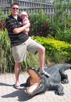 alligator.jpg