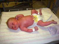 Katelyn Noreen Malone