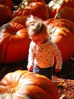 Lilly at the pumpkin patch