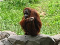 zoo-019.jpg